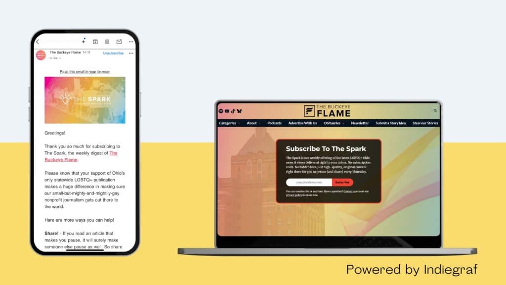 Good newsletter design and news website that match their brand identity