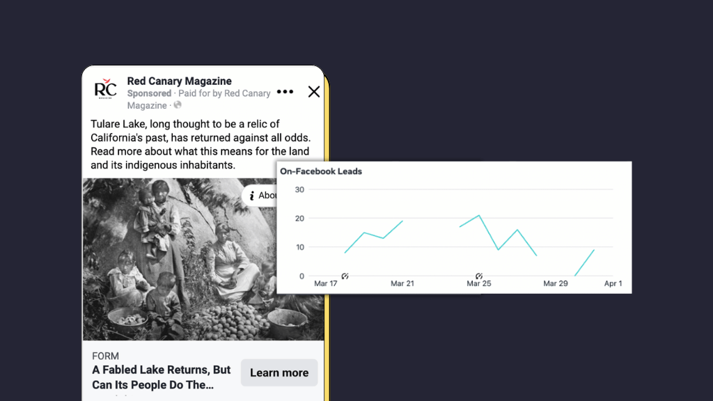 Meta Leads Ads by Red Canary Magazine implemented by Indiegraf Experts
